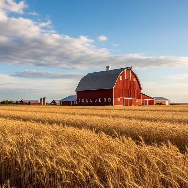 Country Barn